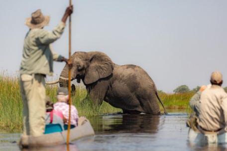 BOTSWANA EN CAMP Y CATARATAS VICTORIA BOTSWANA EN CAMP Y CATARATAS VICTORIA