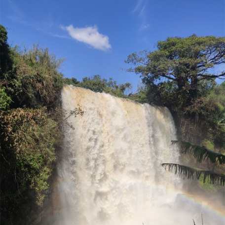 camerun-medium