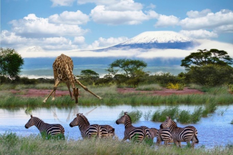 KENIA EXTRAORDINARIA KENIA EXTRAORDINARIA