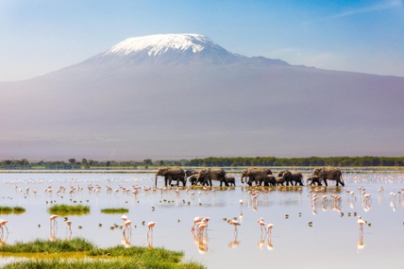 KENIA Y TANZANIA SORPRENDENTES KENIA Y TANZANIA SORPRENDENTES