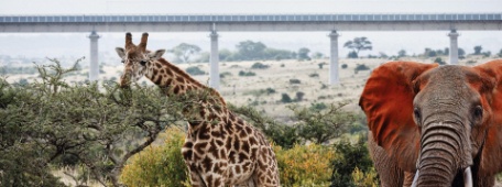 KENIA DESCONOCIDA EN TREN Y MOMBASA KENIA DESCONOCIDA EN TREN Y MOMBASA