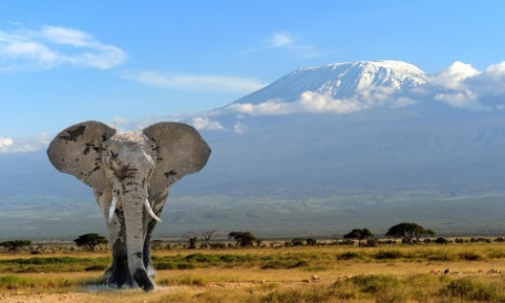 SAFARI MLIMA SAFARI MLIMA