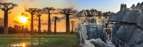 TSINGYS Y BAOBABS EN PRIVADO TSINGYS Y BAOBABS EN PRIVADO