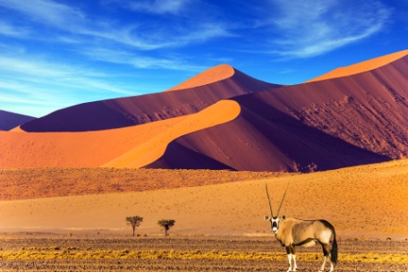 CONTRASTES DE NAMIBIA CONTRASTES DE NAMIBIA