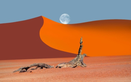 ESENCIA DE NAMIBIA Y SUDÁFRICA ESENCIA DE NAMIBIA Y SUDÁFRICA