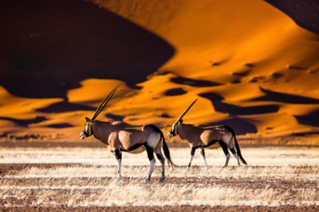 NAMIBIA ESPECTACULAR, CATARATAS Y CHOBE NAMIBIA ESPECTACULAR, CATARATAS Y CHOBE