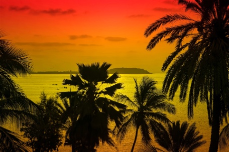 PLAYAS DE SENEGAL PLAYAS DE SENEGAL