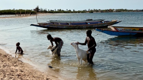 ESPECIAL SENEGAL PUENTE DE DICIEMBRE ESPECIAL SENEGAL PUENTE DE DICIEMBRE