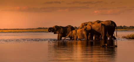 ESENCIA DE SUDÁFRICA, CATARATAS VICTORIA Y CHOBE ESENCIA DE SUDÁFRICA, CATARATAS VICTORIA Y CHOBE