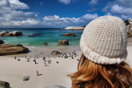 SUDÁFRICA EN FAMILIA: PINGÜINOS, BALLENAS Y MADIKWE SUDÁFRICA EN FAMILIA: PINGÜINOS, BALLENAS Y MADIKWE