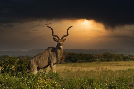 BELLEZAS NATURALES DE SUDÁFRICA BELLEZAS NATURALES DE SUDÁFRICA
