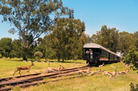 DE SUDÁFRICA A NAMIBIA EN EL ROVOS RAIL DE SUDÁFRICA A NAMIBIA EN EL ROVOS RAIL