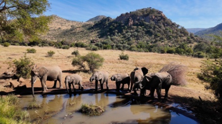 RUTA DEL SOL SUDAFRICANO RUTA DEL SOL SUDAFRICANO