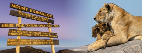 AVENTURA EN TANZANIA: RUTA MARANGU Y SAFARI AVENTURA EN TANZANIA: RUTA MARANGU Y SAFARI