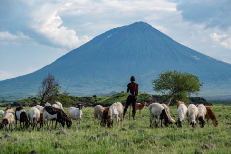 TANZANIA KARIBU EN PRIVADO Y LAGO NATRÓN TANZANIA KARIBU EN PRIVADO Y LAGO NATRÓN