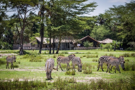 TANZANIA EN LUJO PARA DOS TANZANIA EN LUJO PARA DOS