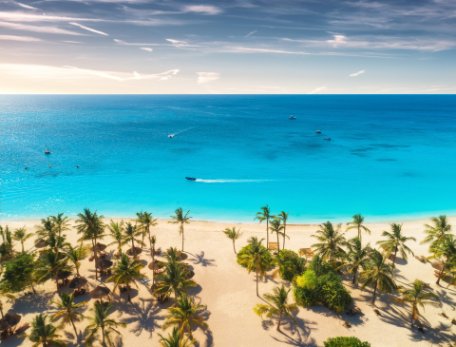 ext-vista-aerea-palmeras-playa-zanzibar