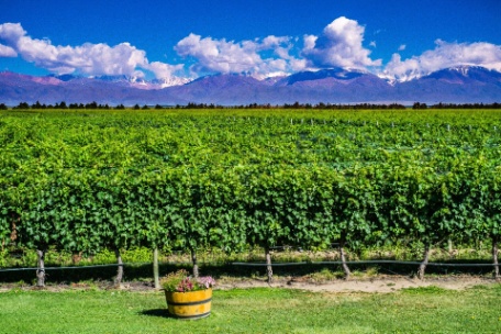 NOROESTE E ROTA DO VINHO NOROESTE E ROTA DO VINHO