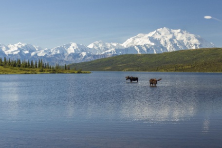 ALASKA ESPECTACULAR ALASKA ESPECTACULAR
