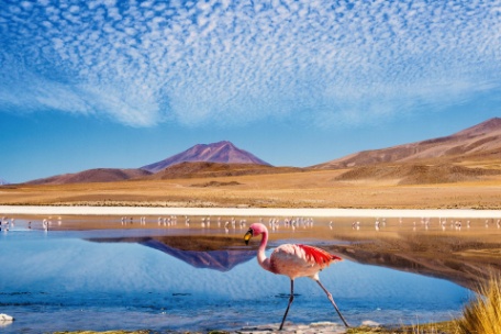 CHILE Y BOLIVIA CHILE Y BOLIVIA