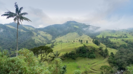 ENCANTOS DE COLOMBIA ENCANTOS DE COLOMBIA