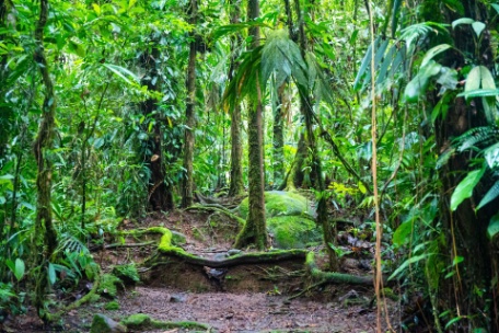 COSTA RICA Y SUS ENCANTOS COSTA RICA Y SUS ENCANTOS
