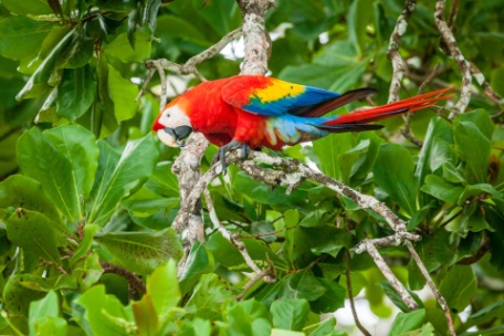 DESCUBRE LO MEJOR DE COSTA RICA DESCUBRE LO MEJOR DE COSTA RICA