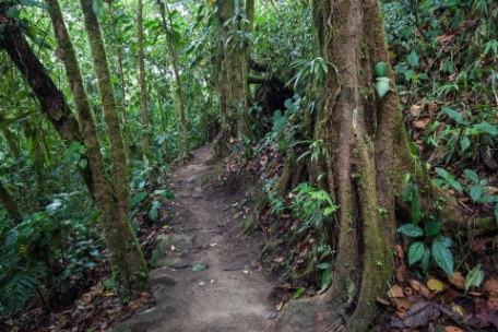 AUTO-RUTA COSTA RICA ECOLÓGICA AUTO-RUTA COSTA RICA ECOLÓGICA