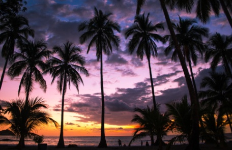 PRAIAS DE GUANACASTE, c/ San José PRAIAS DE GUANACASTE, c/ San José