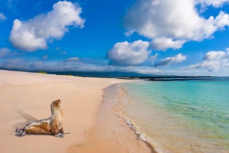 Ecuador y Galápagos Ecuador y Galápagos