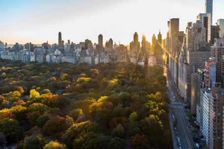 NUEVA YORK Y NUEVA ORLEANS NUEVA YORK Y NUEVA ORLEANS