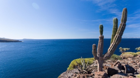 ESTANCIA EN BAJA CALIFORNIA SUR ESTANCIA EN BAJA CALIFORNIA SUR