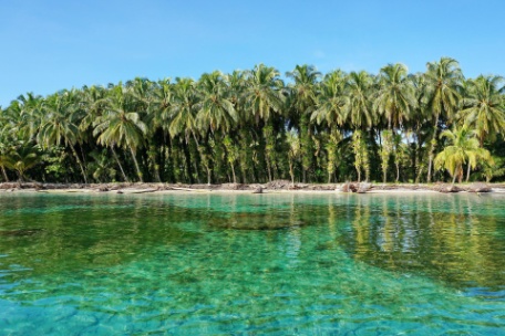 ESENCIAS DE PANAMÁ CON BOCAS DEL TORO ESENCIAS DE PANAMÁ CON BOCAS DEL TORO