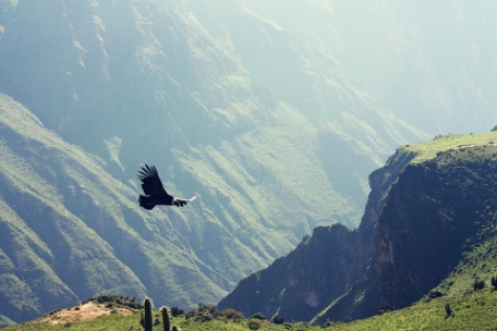 PERÚ, RUTA INCA Y COLONIAL PERÚ, RUTA INCA Y COLONIAL