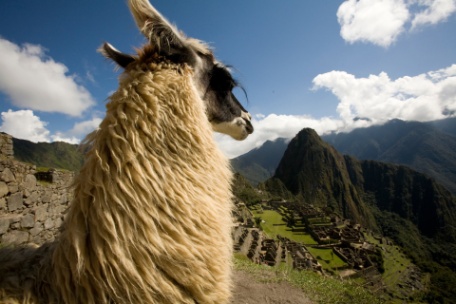 Peru Essencial Peru Essencial