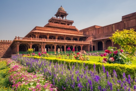 INDIA SORPRENDENTE INDIA SORPRENDENTE
