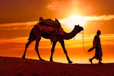 RAJASTHAN PURO RAJASTHAN PURO