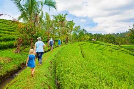 CAMINAR POR UBUD Y BALI CAMINAR POR UBUD Y BALI