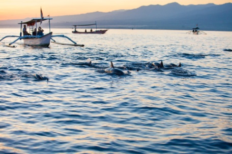 BALI: DELFINES Y TEMPLOS BALI: DELFINES Y TEMPLOS
