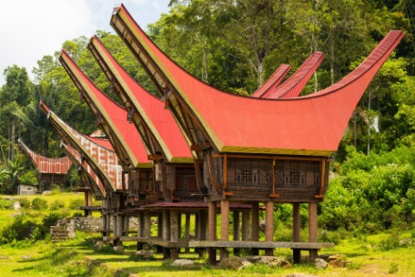 SUMATRA, CÉLEBES Y BALI SUMATRA, CÉLEBES Y BALI