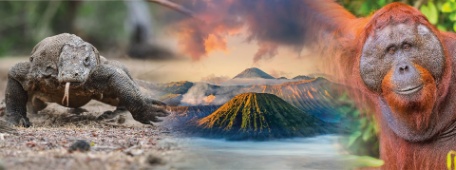 ORANGUTANES, VOLCANES Y DRAGONES ORANGUTANES, VOLCANES Y DRAGONES