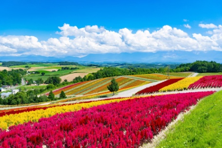 JAPÓN, DESCUBRE HOKKAIDO JAPÓN, DESCUBRE HOKKAIDO