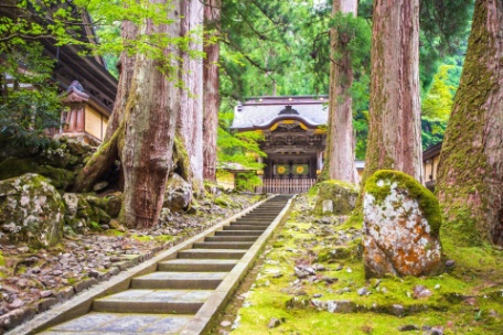 JAPÓN IMPRESCINDIBLE CON ISHIKAWA Y FUKUI