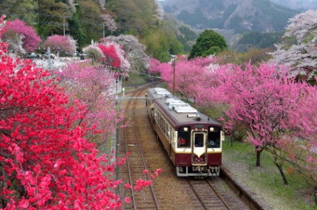 JAPÃO COM RAIL PASS - ROTA 5 JAPÃO COM RAIL PASS - ROTA 5