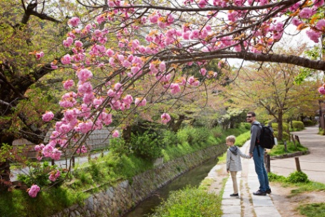 JAPÓN: EL VIAJE DE LAS MIL HISTORIAS JAPÓN: EL VIAJE DE LAS MIL HISTORIAS