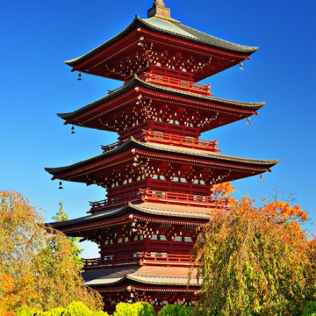 japon-medium