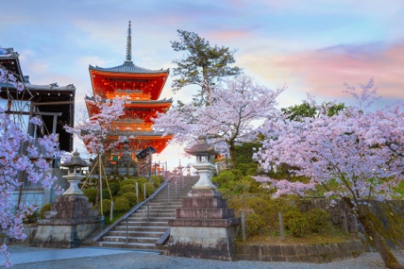 JAPÓN: ESPECIAL SEMANA SANTA - CUPO TURKISH - 19 MARZO JAPÓN: ESPECIAL SEMANA SANTA - CUPO TURKISH - 19 MARZO
