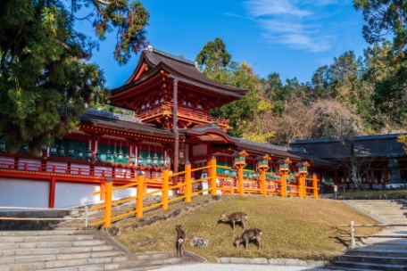 JAPÓN UKIYO 2 - SALIDA EXCLUSIVA ICÁRION SEMANA SANTA 2027 - 21 MARZO JAPÓN UKIYO 2 - SALIDA EXCLUSIVA ICÁRION SEMANA SANTA 2027 - 21 MARZO
