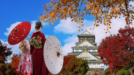 JAPÓN SORPRENDENTE JAPÓN SORPRENDENTE