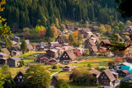 JAPÓN RUTA EN BUS - TOKIO, TAKAYAMA, KANAZAWA, KIOTO y OSAKA JAPÓN RUTA EN BUS - TOKIO, TAKAYAMA, KANAZAWA, KIOTO y OSAKA